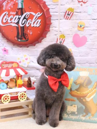 20230920chipieちゃん